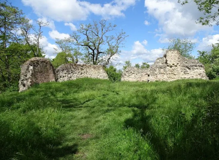Burg Dorfelden, Niederdorfelden, Germany, Germany